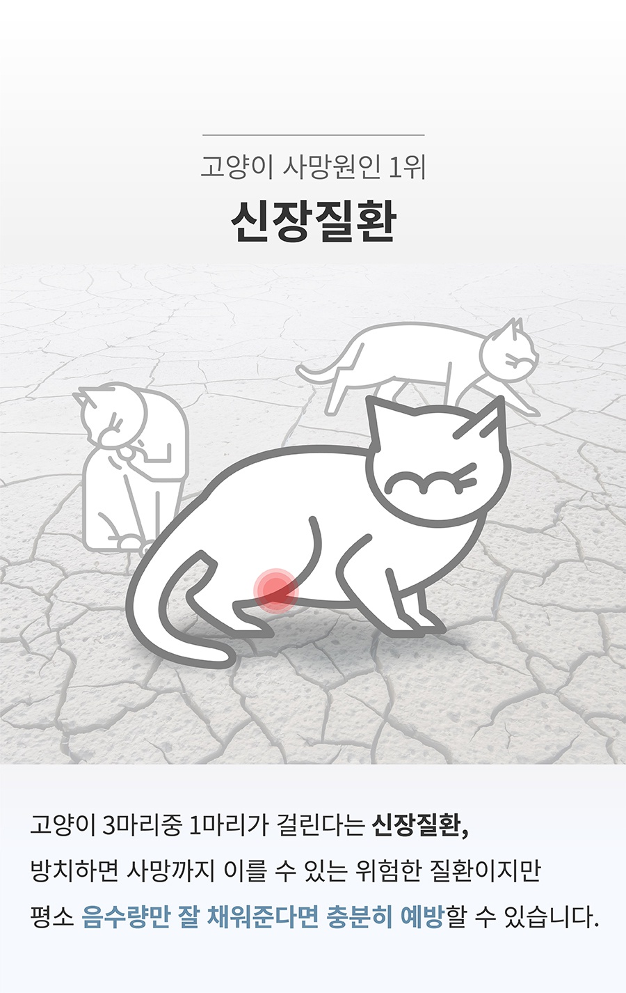 스토브 순수 알카리 9.0 정수기-상품이미지-5