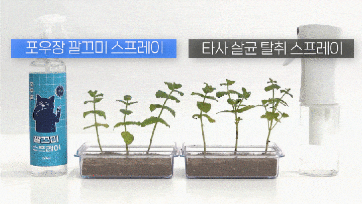 포우장 깔끄미 스프레이 (250ml)-상품이미지-7