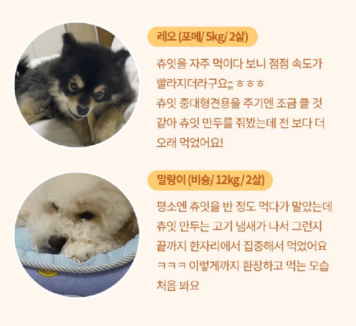 it 츄잇 만두 (닭/오리/칠면조)-상품이미지-8