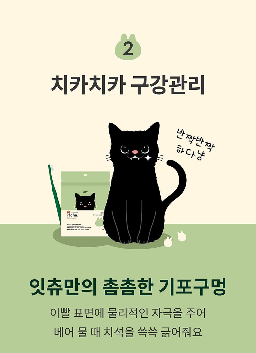 it 더 잇츄 캣 (치킨&사과/황태&고구마/연어&레드비트)-상품이미지-10
