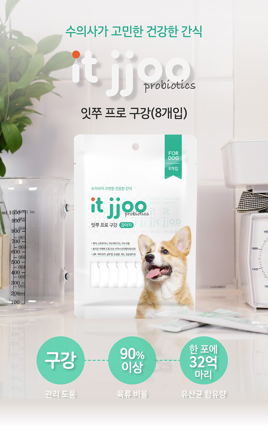 it 잇쭈 프로 도그 구강 특대용량 (8개입*8개)-상품이미지-1